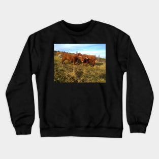 Scottish Highland Cattle Cow and Bull 1004 Crewneck Sweatshirt